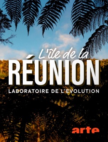 Arte - L'île de La Réunion : Laboratoire de l'évolution