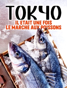 Tokyo, il était une fois le marché aux poissons