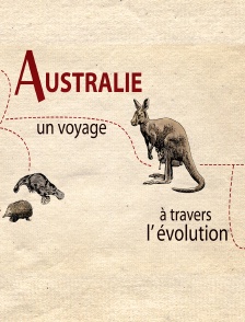 Australie, un voyage à travers l'évolution