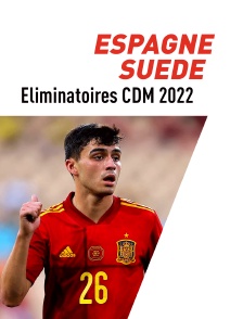 Football : Eliminatoires de la Coupe du monde UEFA - Espagne / Suède