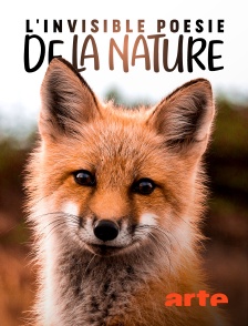 Arte - L'invisible poésie de la nature