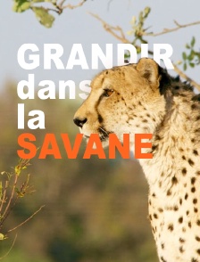 Grandir dans la savane