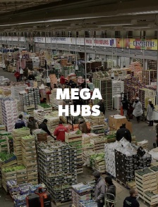 Mega Hubs