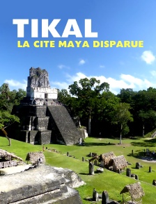 Tikal, la cité Maya disparue