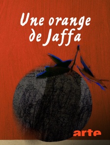 Arte - Une orange de Jaffa