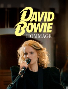 David Bowie : Heroes Never Die