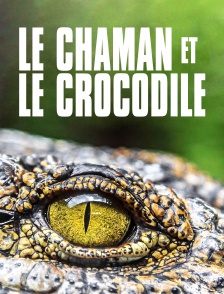 Le chaman et le crocodile