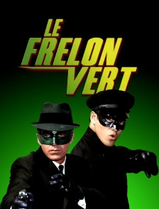 Le frelon vert