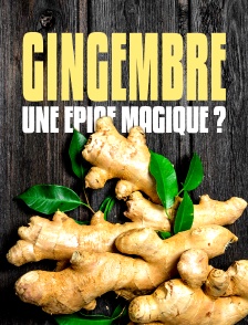 Gingembre, une épice magique ?