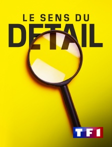 TF1 - Le goût du détail en replay