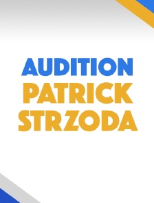 Audition de Patrick Strzoda