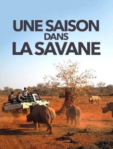 Une saison dans la savane