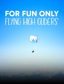 For Fun Only - Flying High Gliders