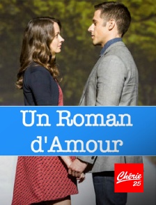 Un roman d'amour