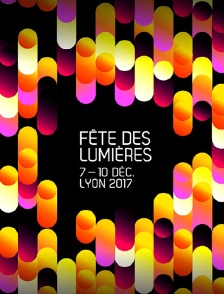 Fête des Lumières, Lyon 2017
