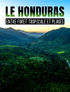 Le Honduras : entre forêt tropicale et plages