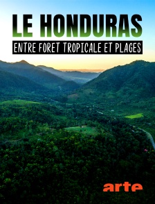 Le Honduras : entre forêt tropicale et plages