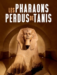 Les pharaons perdus de Tanis
