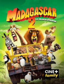 CINE+ Family - Madagascar 2 : la grande évasion