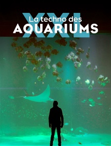 La techno des aquariums XXL