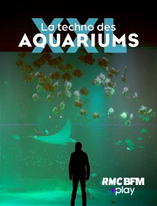 RMC BFM Play - La techno des aquariums XXL