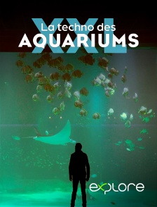 EXPLORE - La techno des aquariums XXL en replay