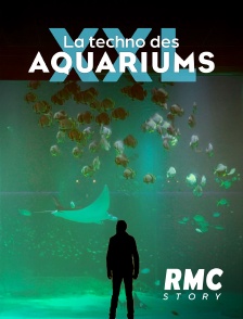 RMC Story - La techno des aquariums XXL