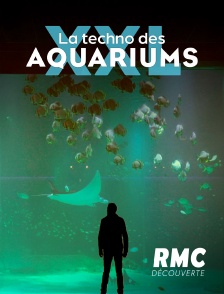 RMC Découverte - La techno des aquariums XXL