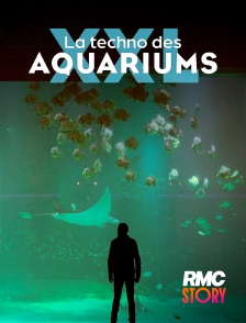 RMC Story - La techno des aquariums XXL