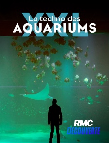 RMC Découverte - La techno des aquariums XXL