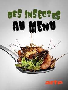 Des insectes au menu