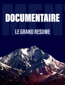 Le Grand Résumé