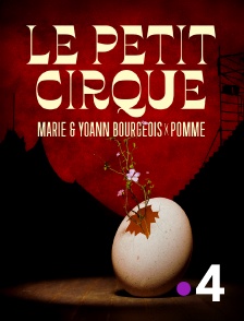 France 4 - Pomme, Marie & Yoann Bourgeois " Le Petit Cirque " aux Nuits de Fourvière