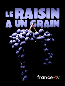 france.tv - Le raisin a un grain