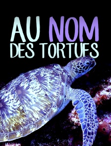Au nom des tortues