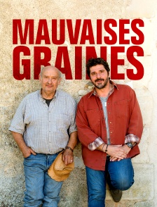 Mauvaises graines