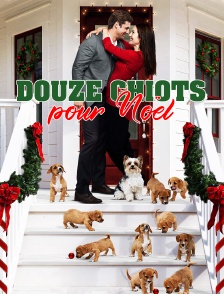 Douze chiots pour Noël