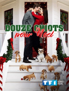 TF1 Séries Films - Douze chiots pour Noël