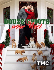 TMC - Douze chiots pour Noël