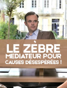 Le zèbre, médiateur pour causes désespérées !