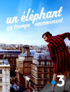 France 3 - Un éléphant, ça trompe énormément