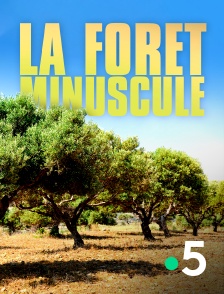 France 5 - Grotte d'Ouvéa, le prix du sang