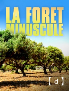 France TV Docs - Grotte d'Ouvéa, le prix du sang