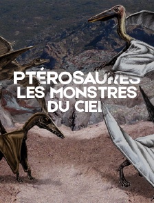 Ptérosaures, les monstres du ciel