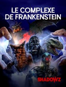 Shadowz - Le complexe de Frankenstein