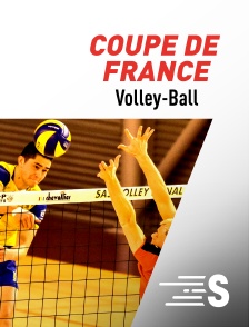 Sport en France - Volley-ball - Coupe de France