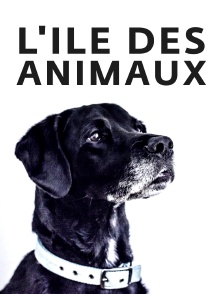 L'île des animaux