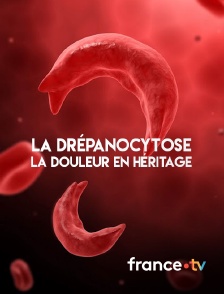 france.tv - La drépanocytose, la douleur en héritage