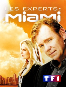 TF1 - Les experts : Miami