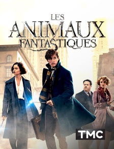 Les animaux fantastiques